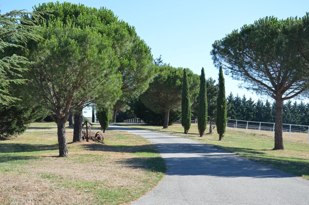 Les Hiboux du Domaine du Moulin