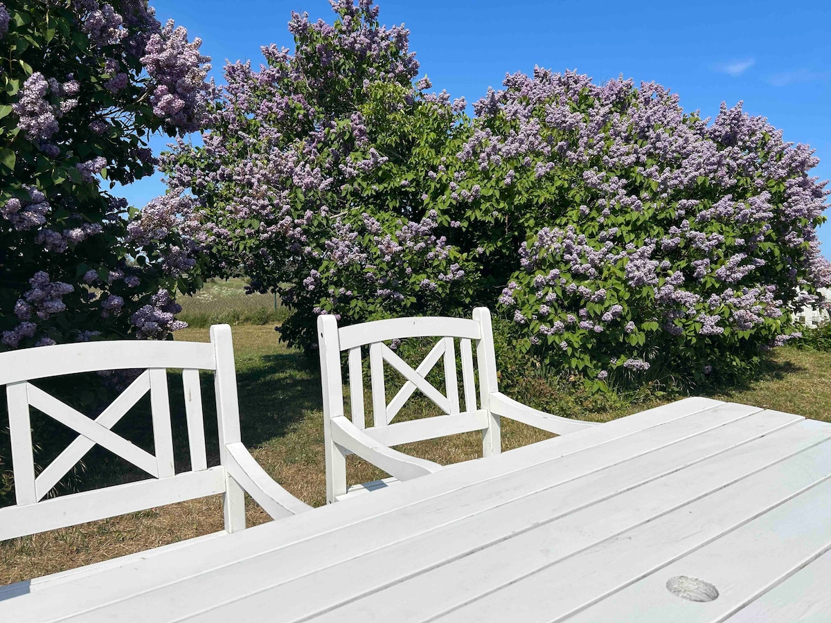 Sommarhus med egen trädgård i Smygehamn