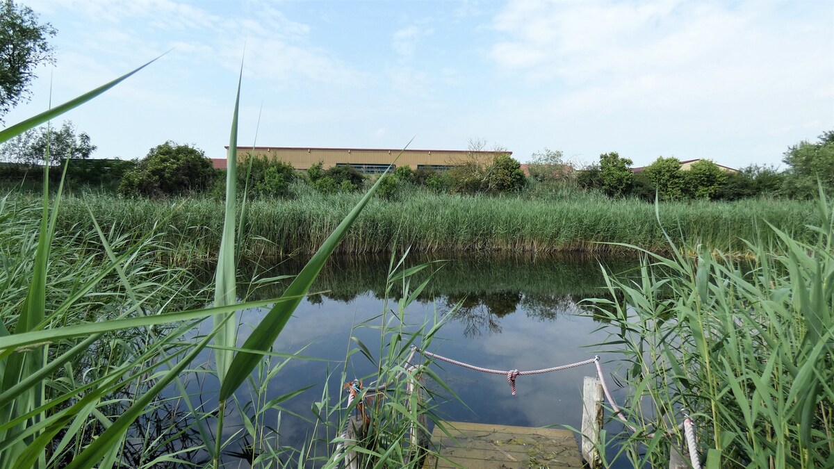 FeWo am Froschteich " Kuckucksheim" max. 4 Gäste