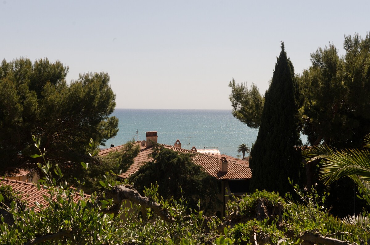 橄榄树别墅，可欣赏海景！