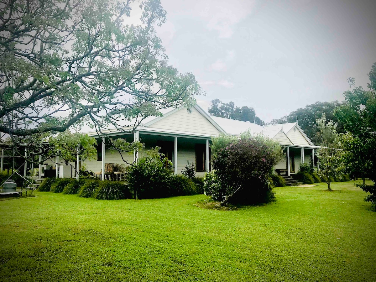 The High Country Homestead