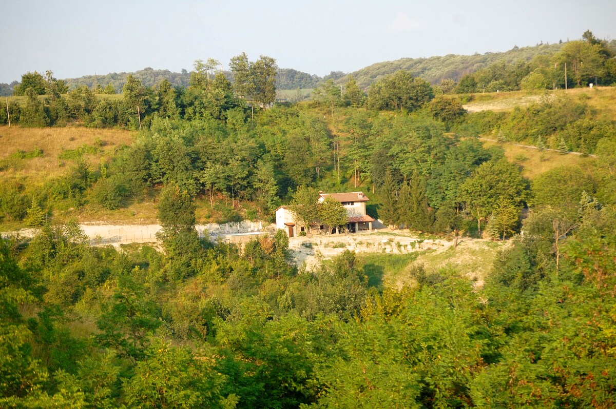 带绝佳游泳池的大型家庭住宅