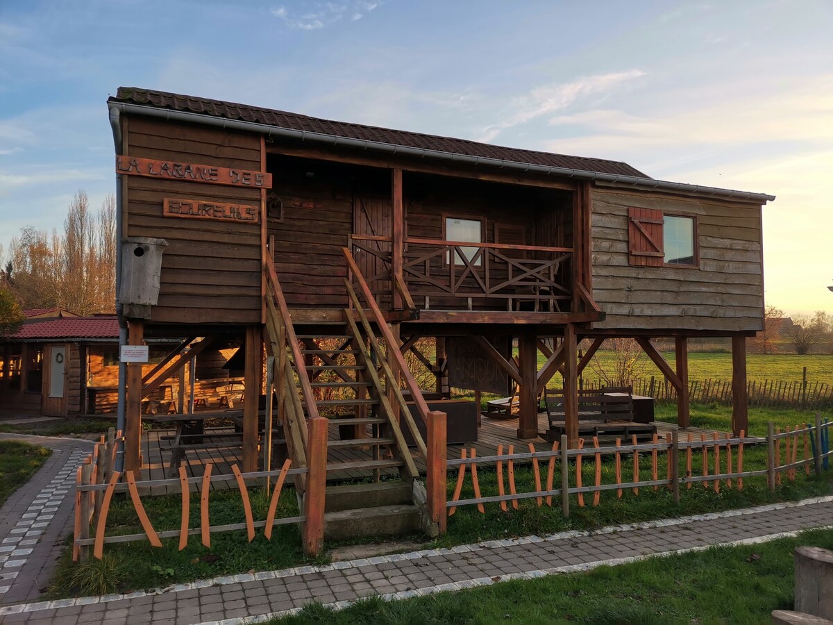 La cabane des écureuils et la cuisine buissonnière