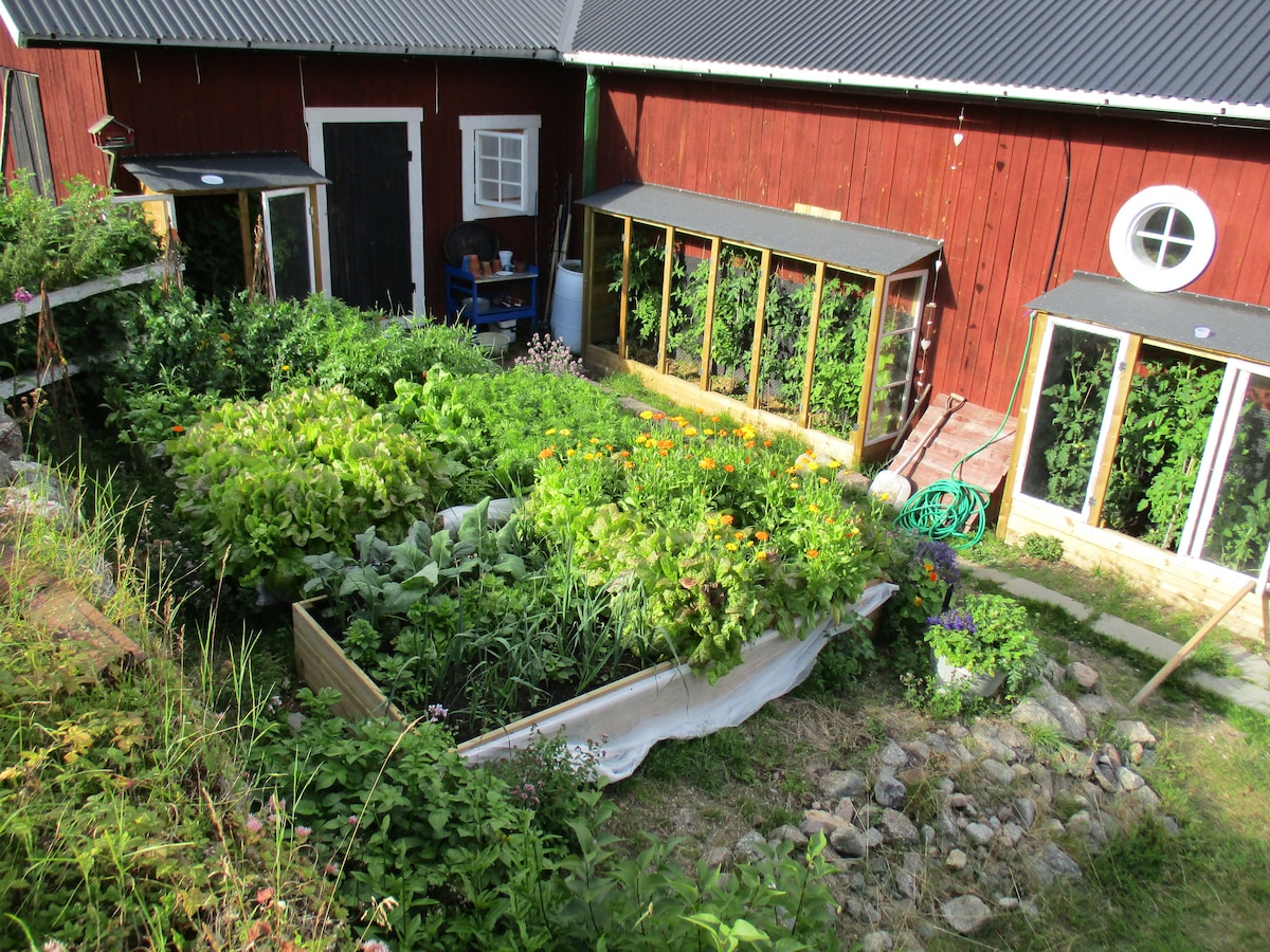 Bo på bondgård Hästturer i Hälsingland