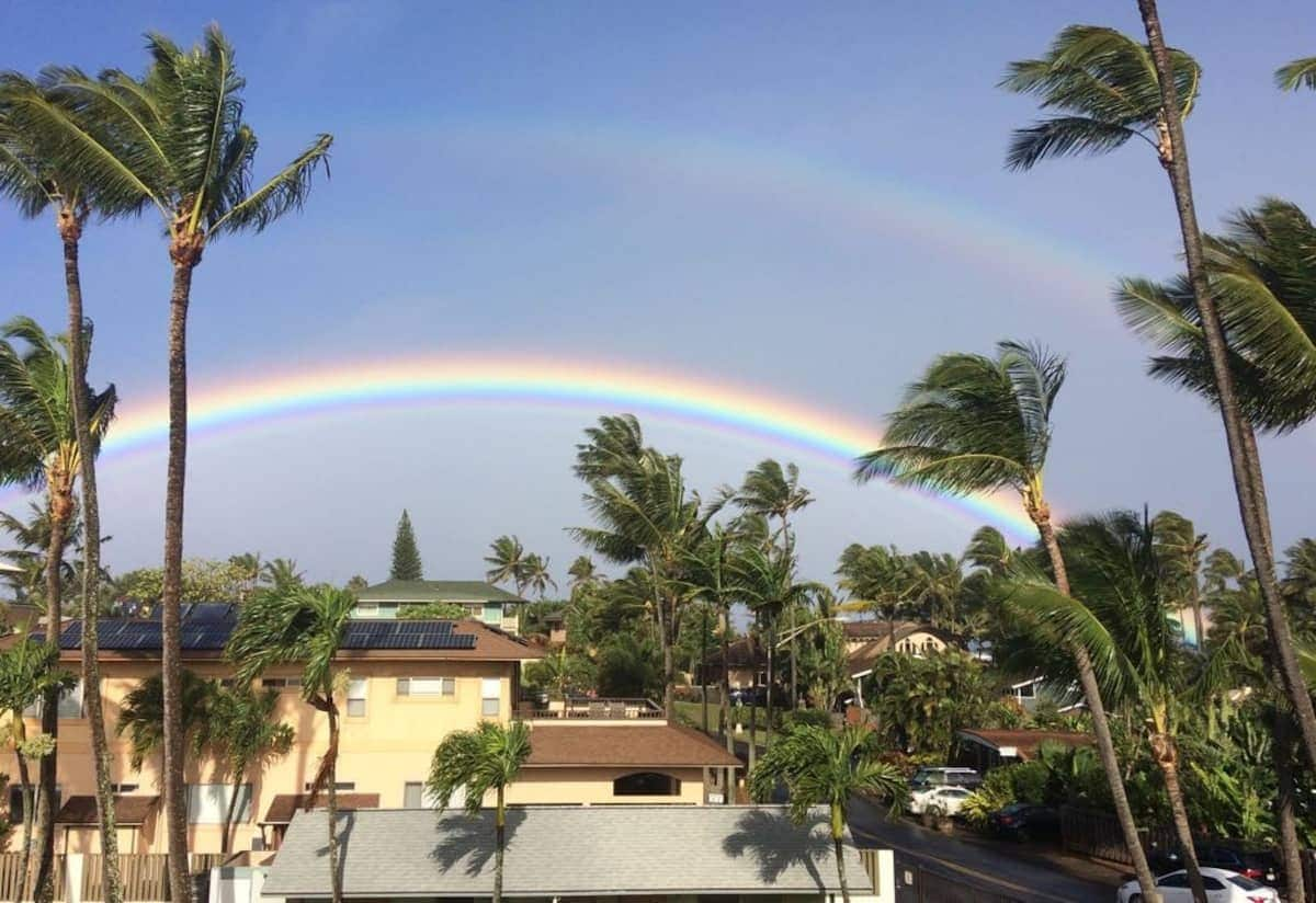 Windward Side Tropical Accommodations