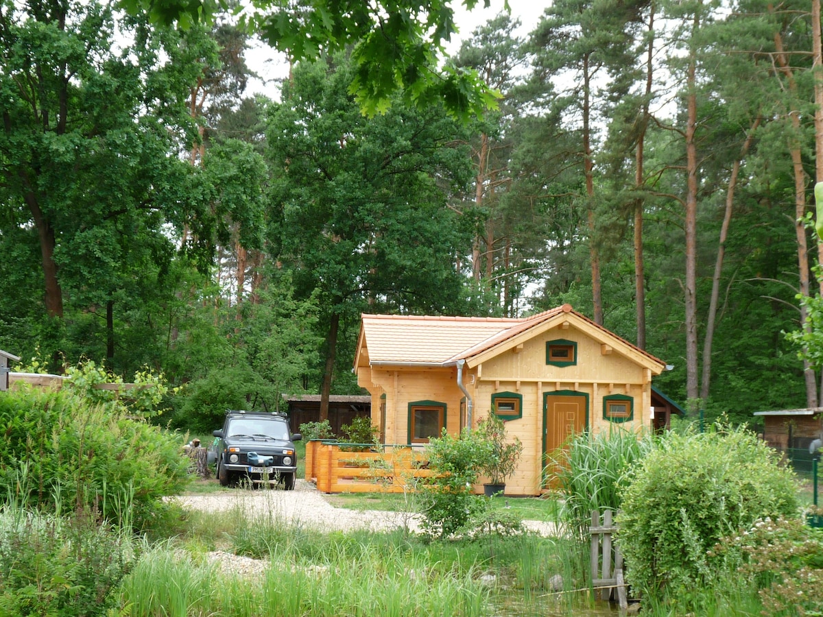 Small romantic blockhouse