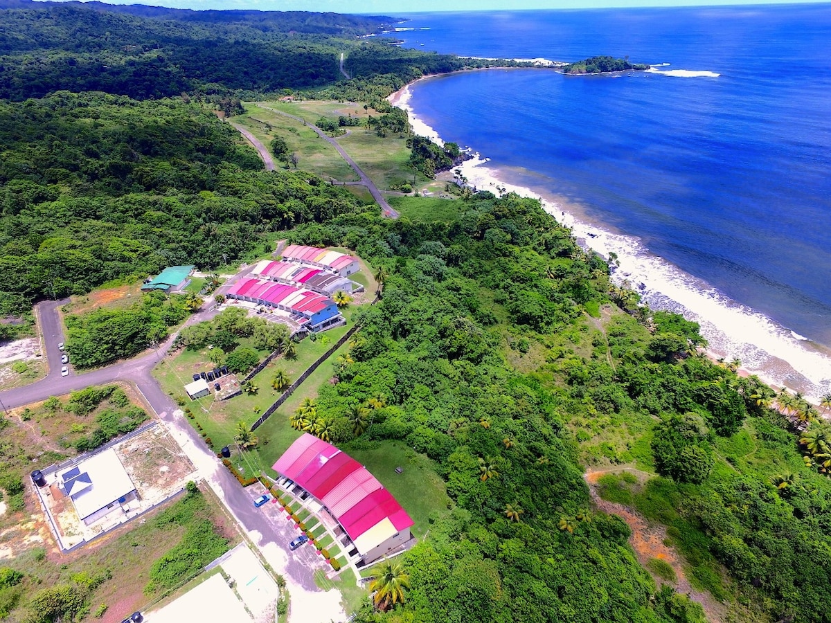 ⛱ 阳光、大海和小径