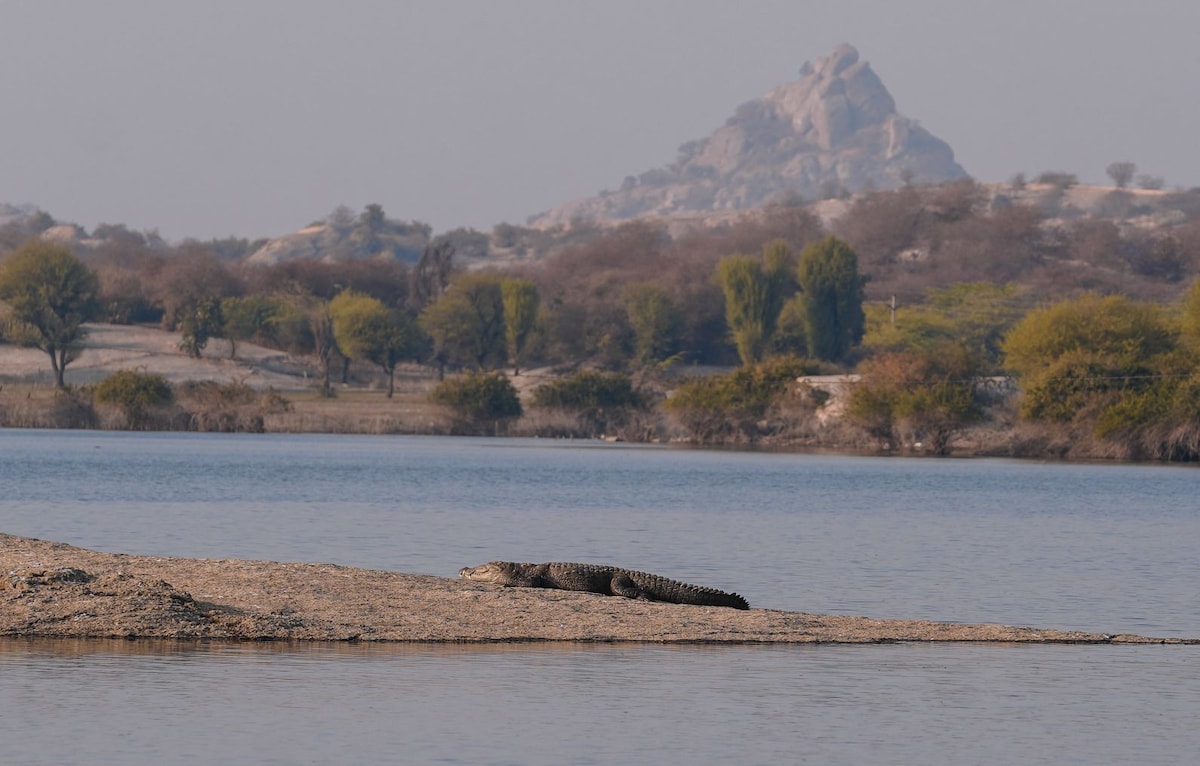 jawai dark house