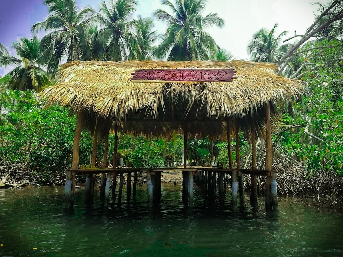 海滩上的生态小木屋。Boca del Cielo