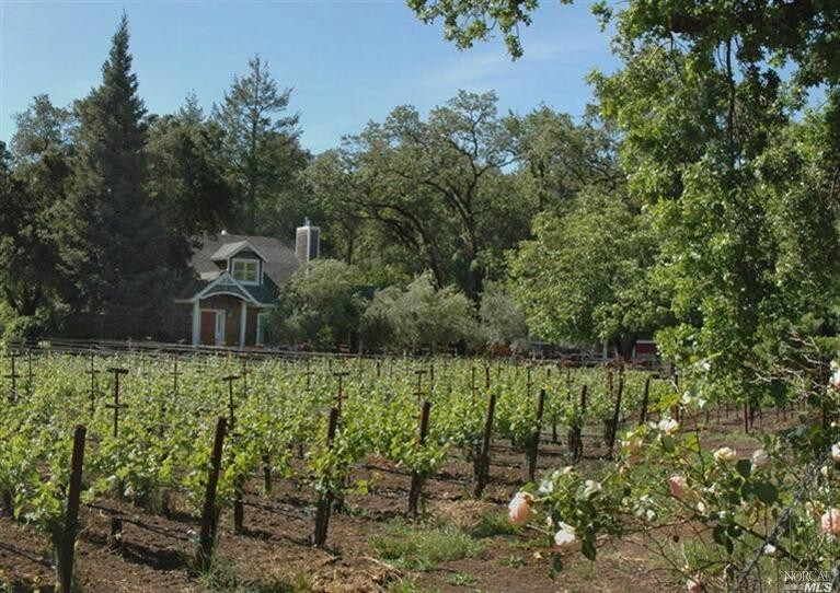 Napa Valley Wine Country Retreat - Pavel Vineyard