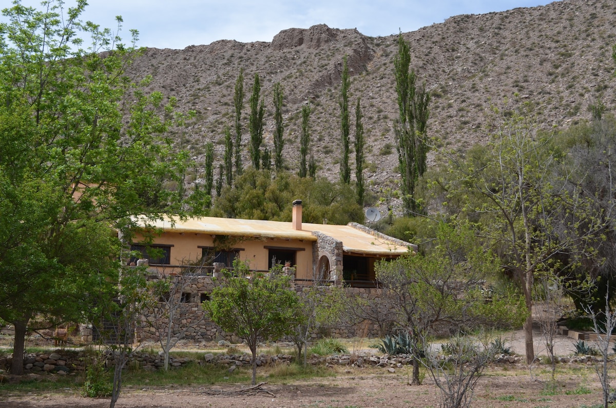 Casa Andina del Pucará