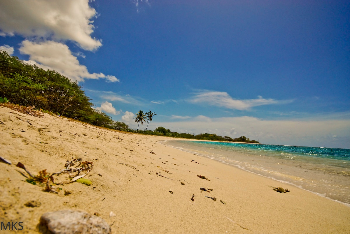 CoCo Rose Guest House with Beach