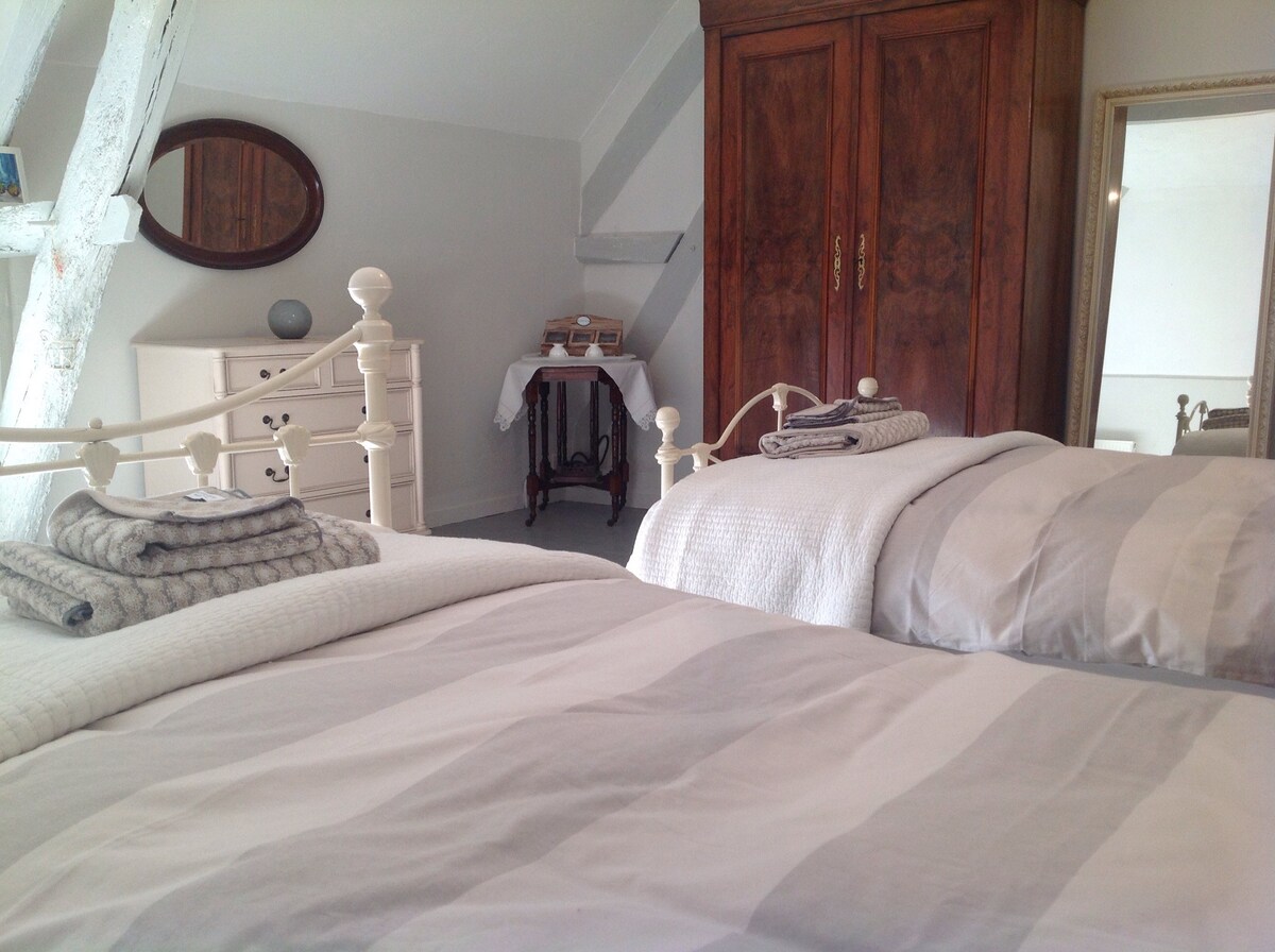 Country chic farmhouse in la Brenne  - twin room