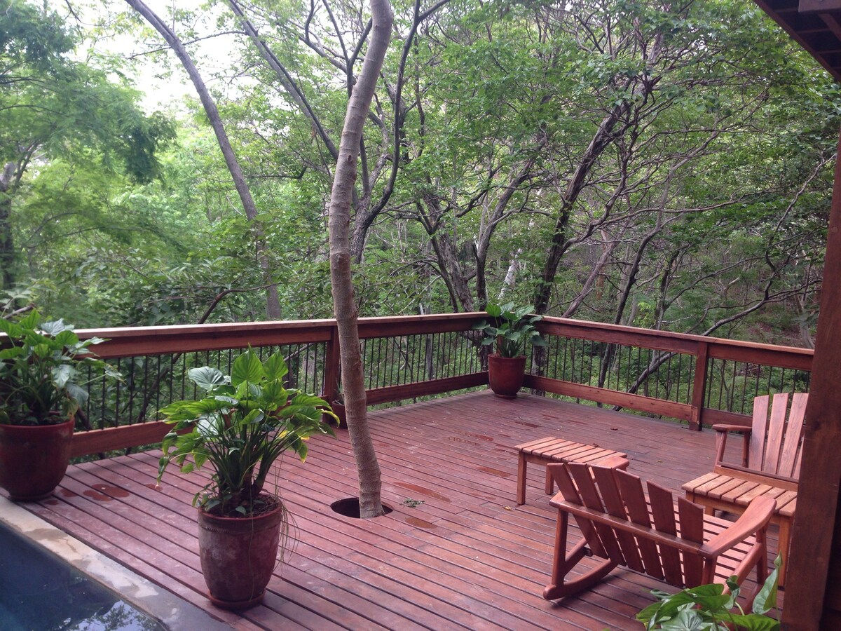 Orquedia An Adult Luxury Treehouse