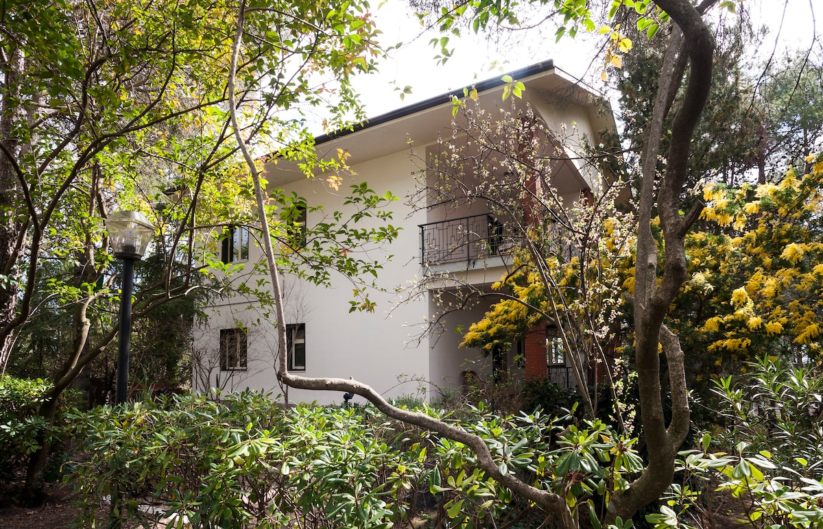 别墅坐落在埃特纳火山的树林中。