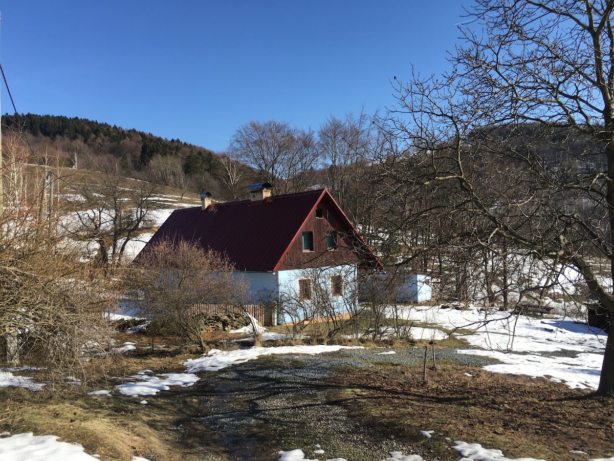 白色喀尔巴阡山脉风景如画的乡村小屋