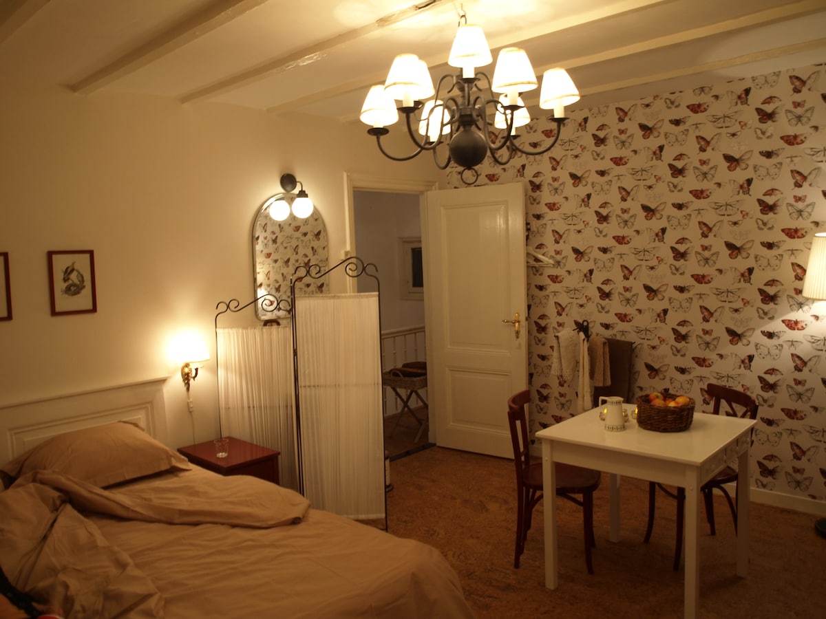 TheHagueMansion City&Beach Room A