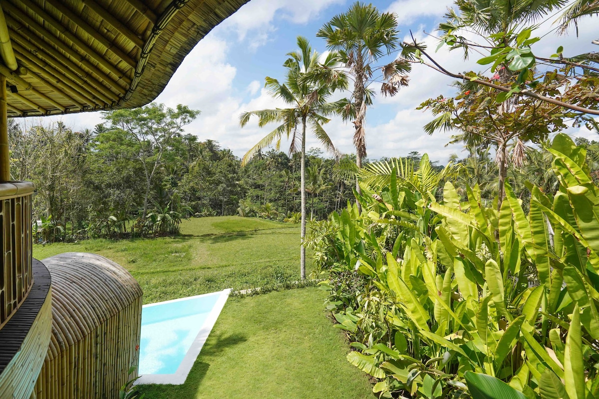 Arch - Eco Six Bali度假村的竹子别墅