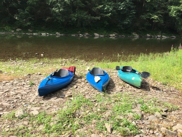 Pine Creek Waterfront Home - Stocked Trout Stream