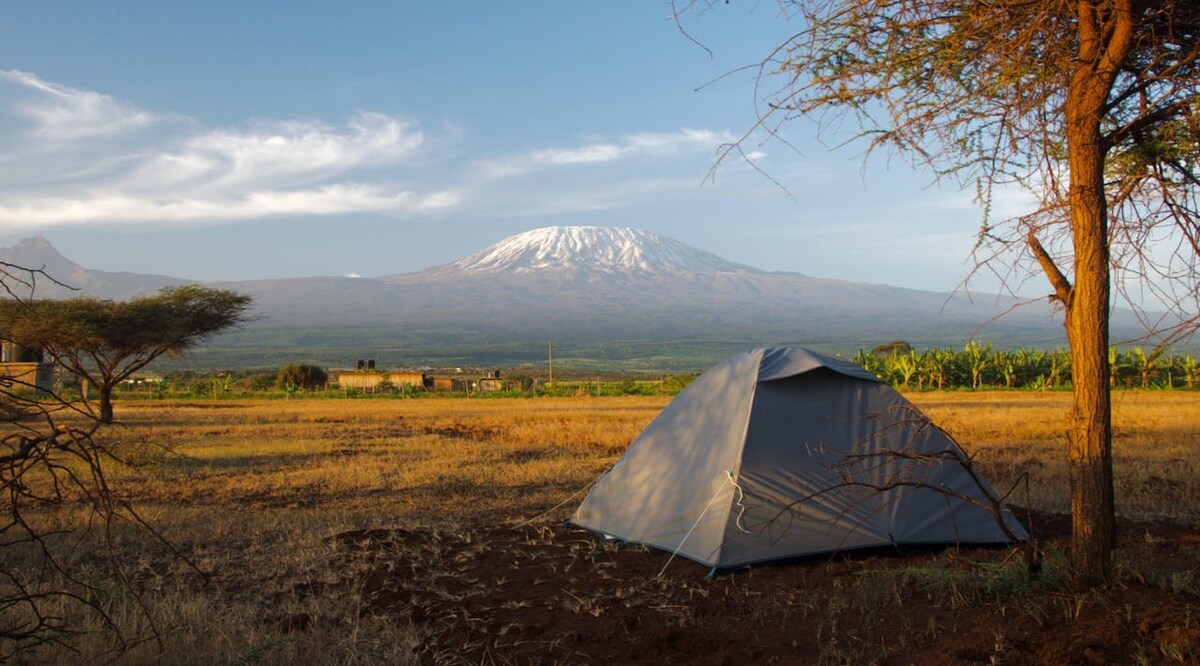 Camp David Amboseli