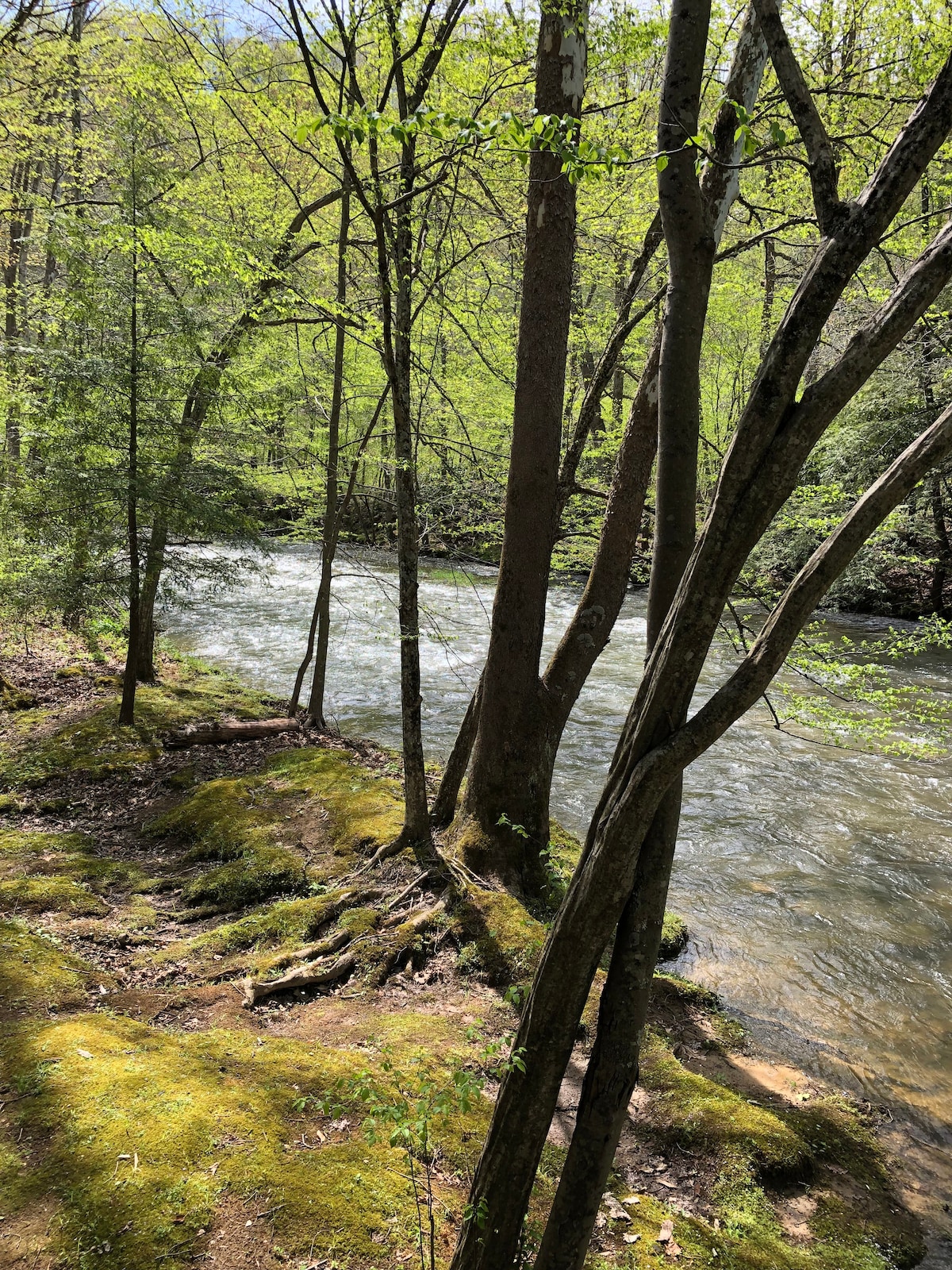 Bend of River Cabin in Hacker Valley West Virginia