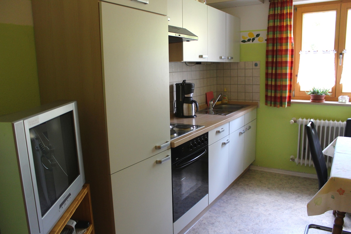 公寓Franz和Angela Hausladen （安布鲁克） ，公寓Hausladen （ 55平方米） ，带厨房和花园