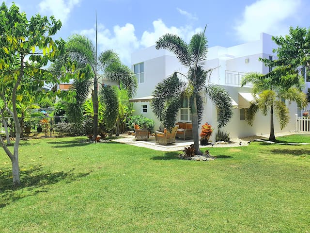 Ceiba的民宿
