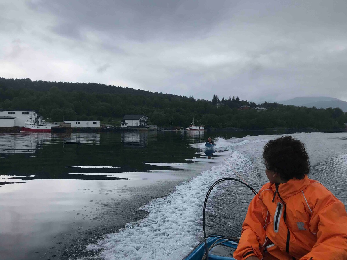 Ellingsøyfjorden田园诗般的房子