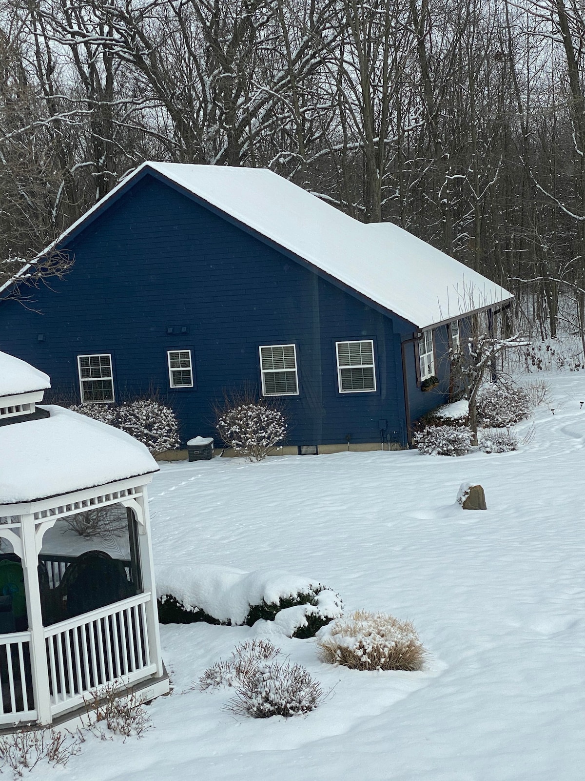 Little Carriage House in the Woods