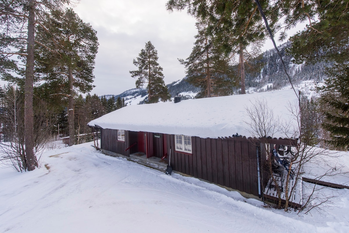 Tveitehaug 2 montain小木屋，靠近滑雪中心