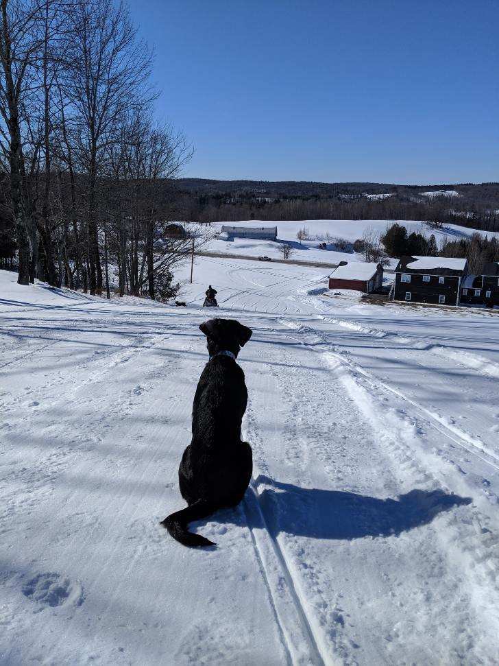 佛蒙特山景城（ Vermont Mountain View Serenity ）