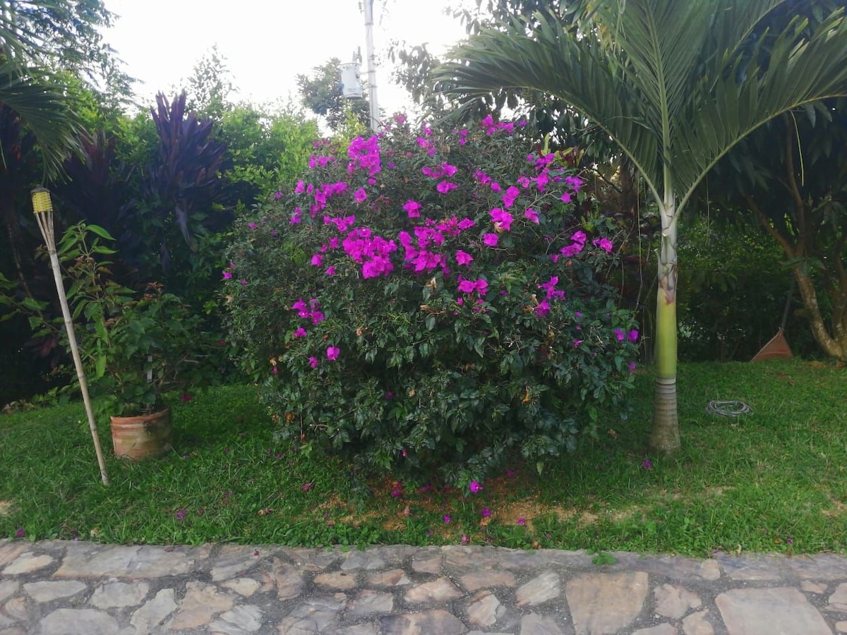 Villa Ruizseñores.  Un lugar mágico para el descanso con tu familia y amigos.  Disfruta del clima fresco de lebrija.