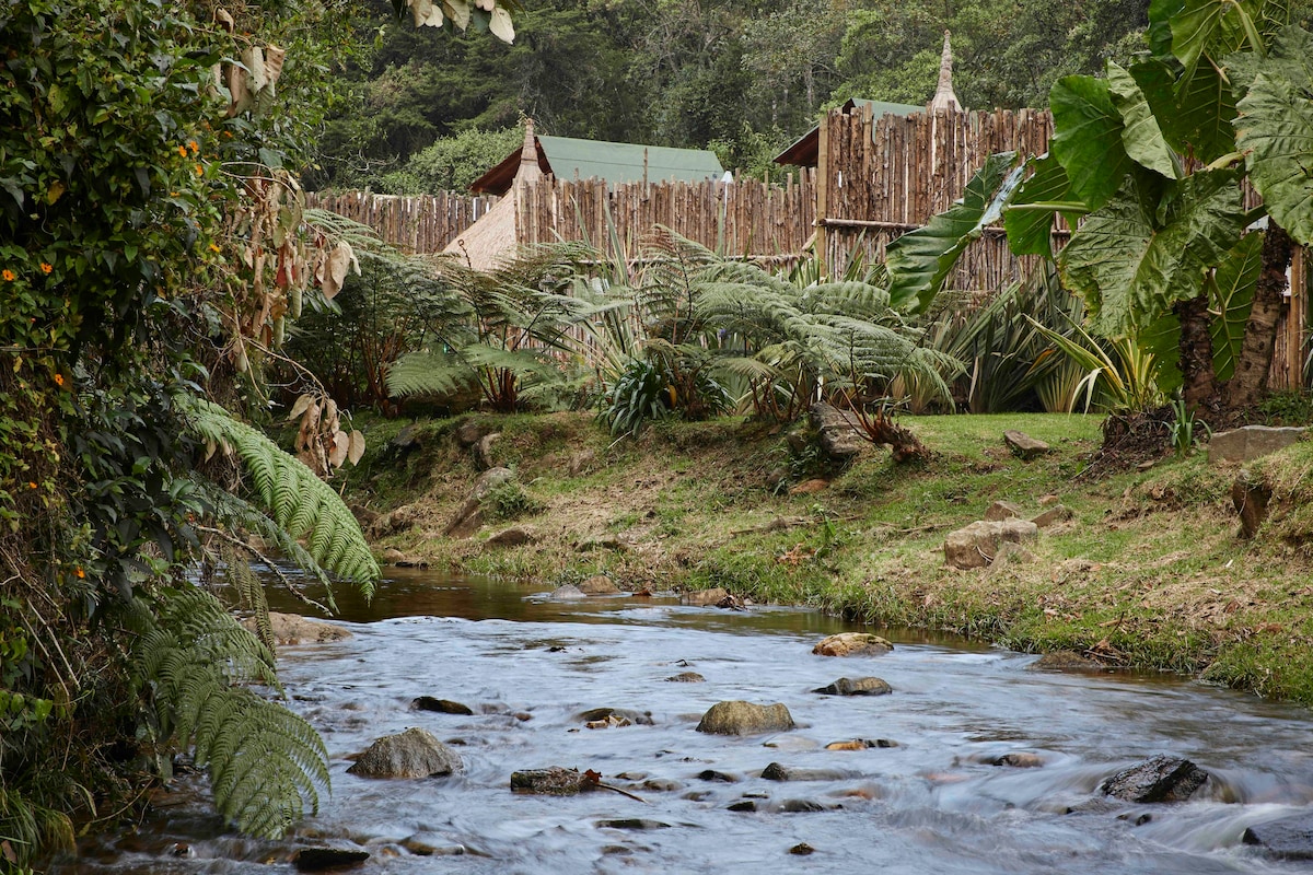 BubbleSky Glamping Palmas - 15 min de Medellin