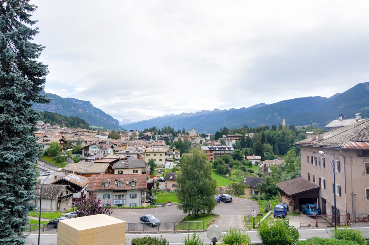 A view on the Dolomites