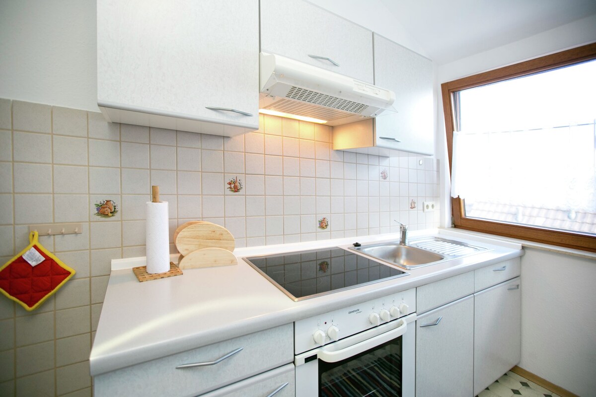 Spacious apartment near Lake Constance