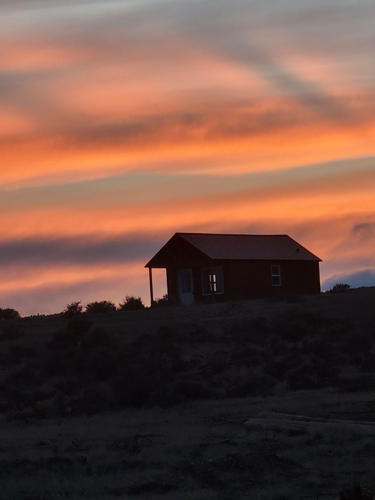 Moose Cabin