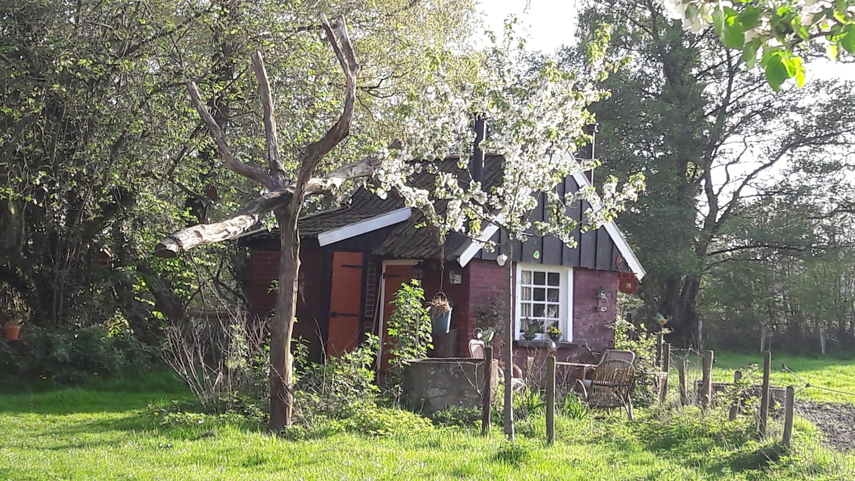 Cottage De Vrolijke Haan ，户外区域Winterswijk。