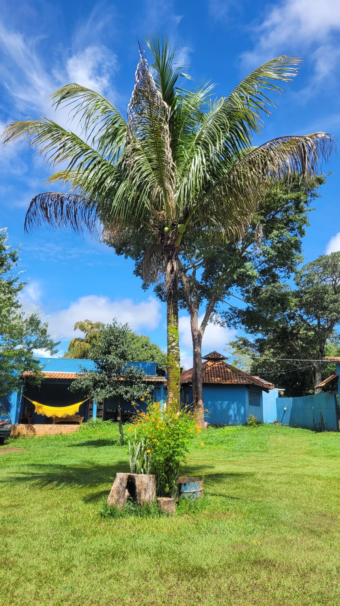 Área de Camping cercada pela natureza