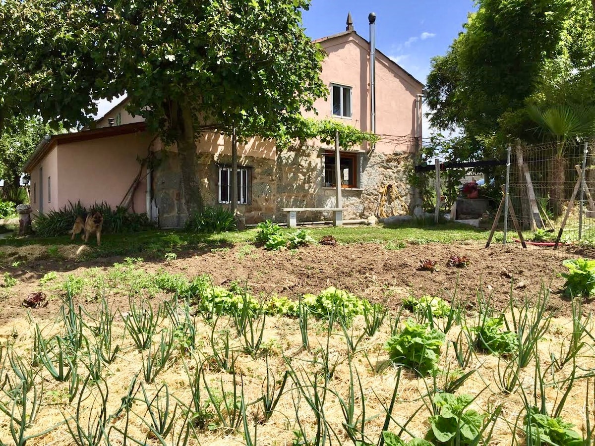 Casa Amor y Serenidad