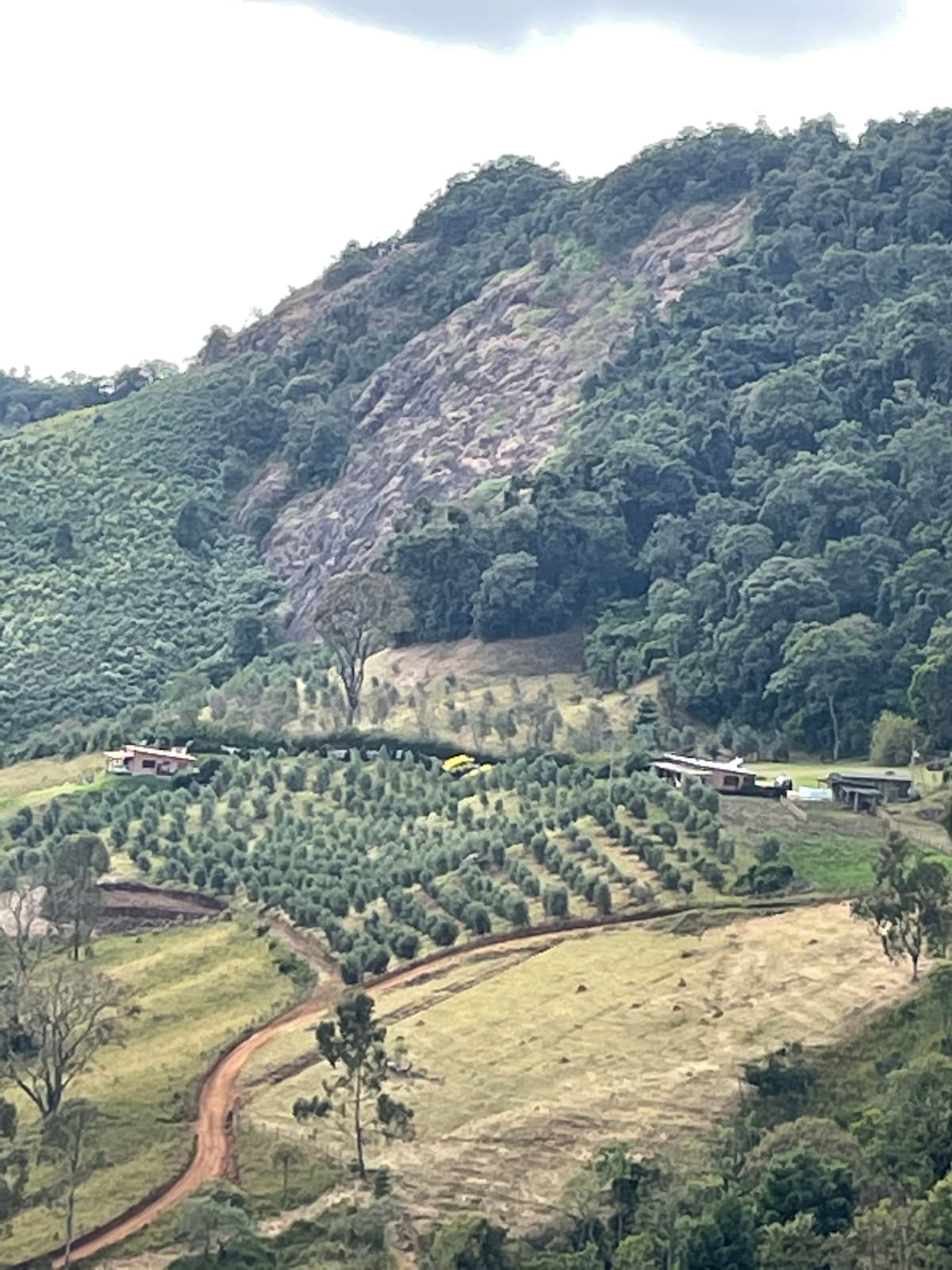 Lumiar da Mantiqueira ，您可以在那里触摸云层！