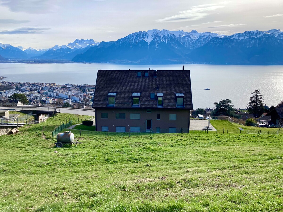 令人惊叹的全景山景