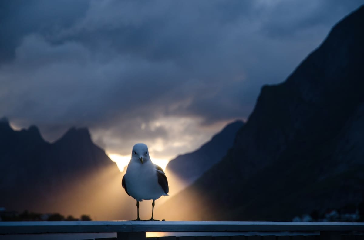 Simple living with a view