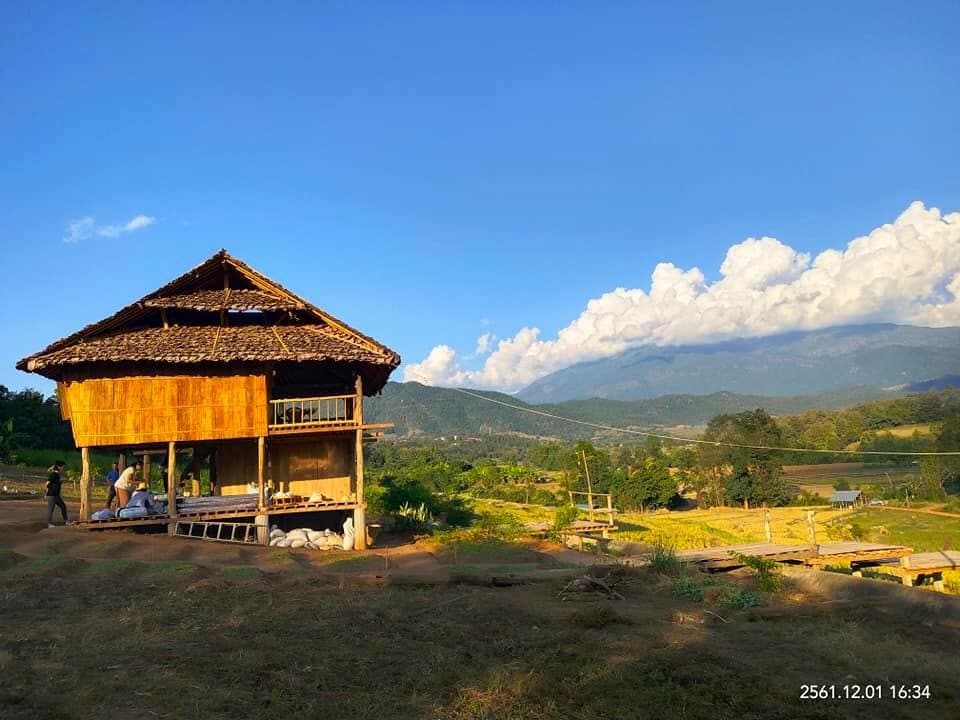 Cozy Stay Bamboo House ： O-PO寄宿家庭