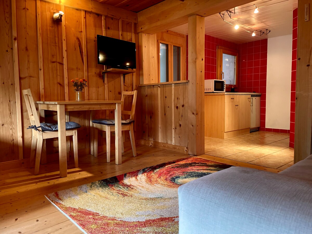 1.5间客房的度假木屋，带露台，靠近韦尔比耶