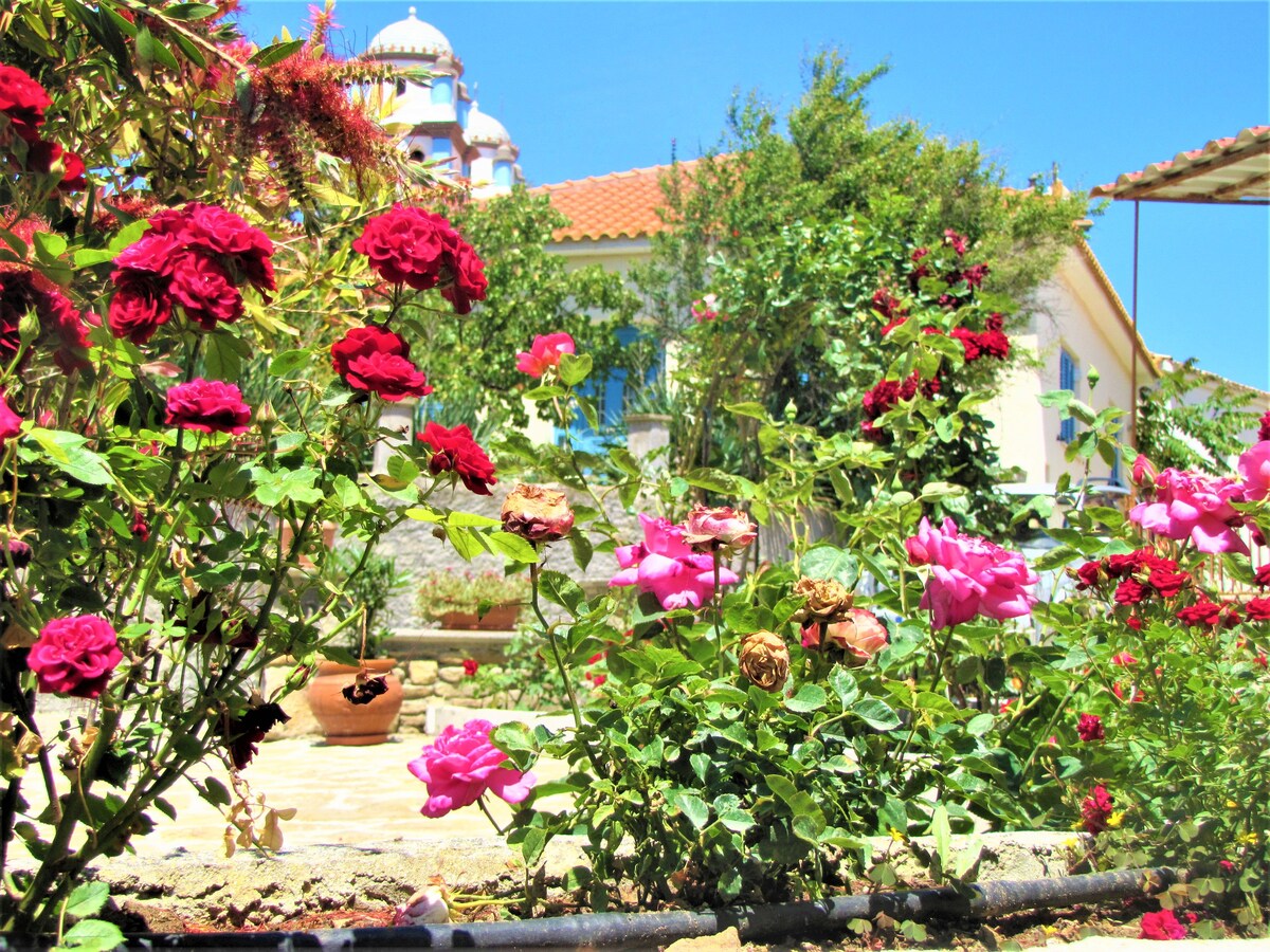 Toula's Garden Apartment