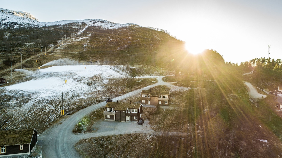 Bjørkelia Lodge -舒适的山间小屋，可欣赏湖景