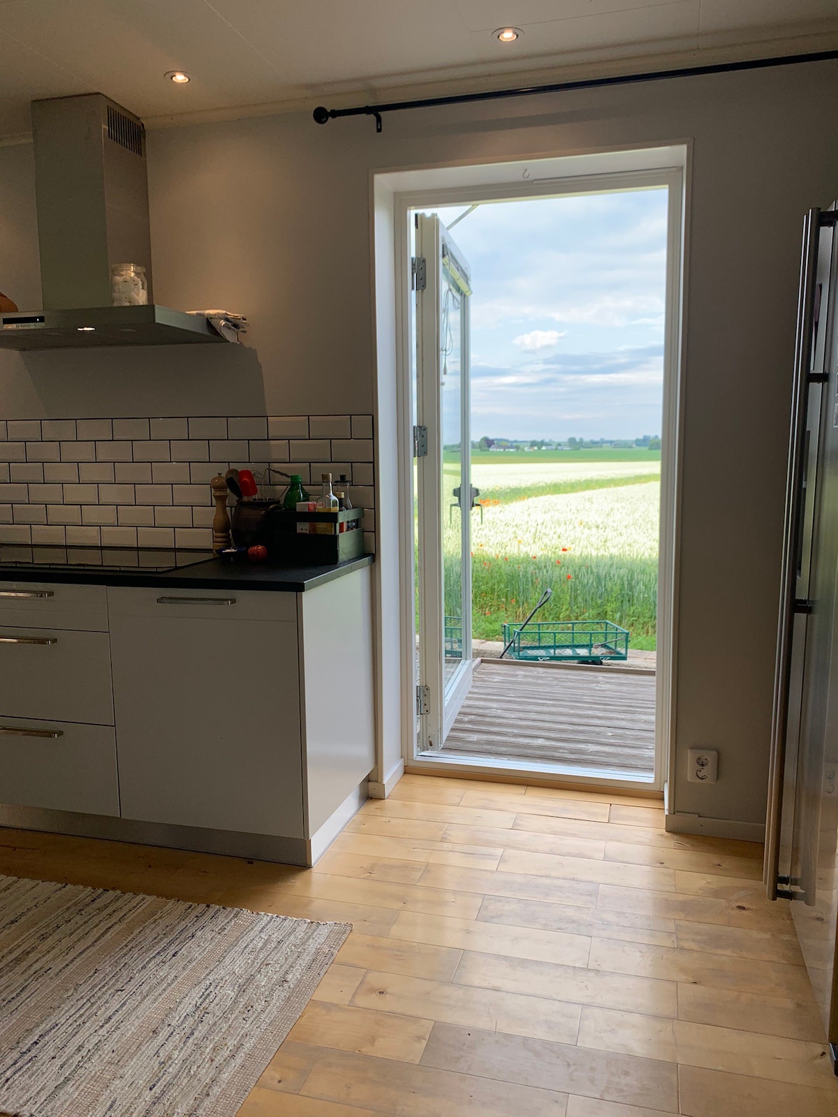 Full, modern house overlooking the Österlen fields