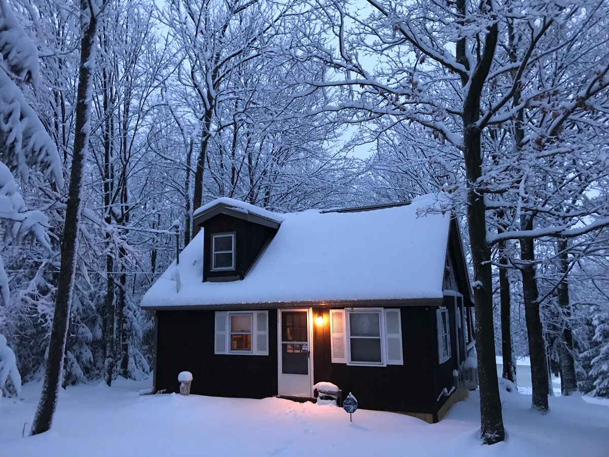 位于Wells的舒适小木屋，池塘-靠近Keuka ！