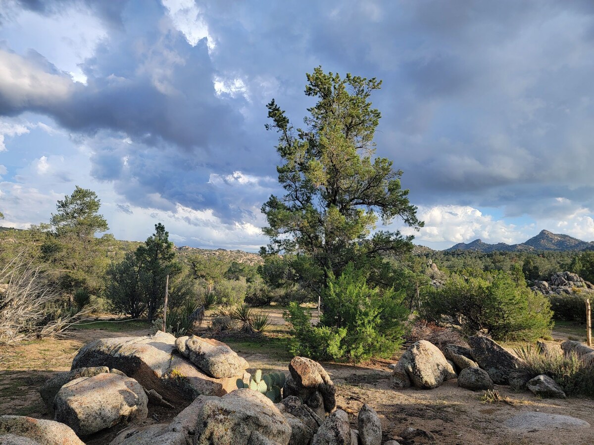 Cabaña y Campamento en el Bosque