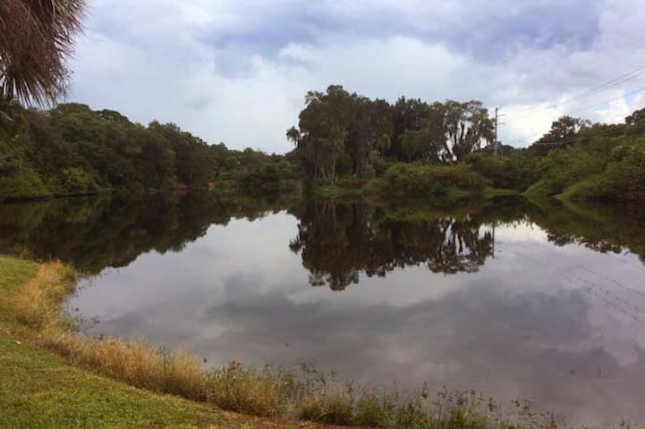 诺科米斯（Nokomis）的民宿